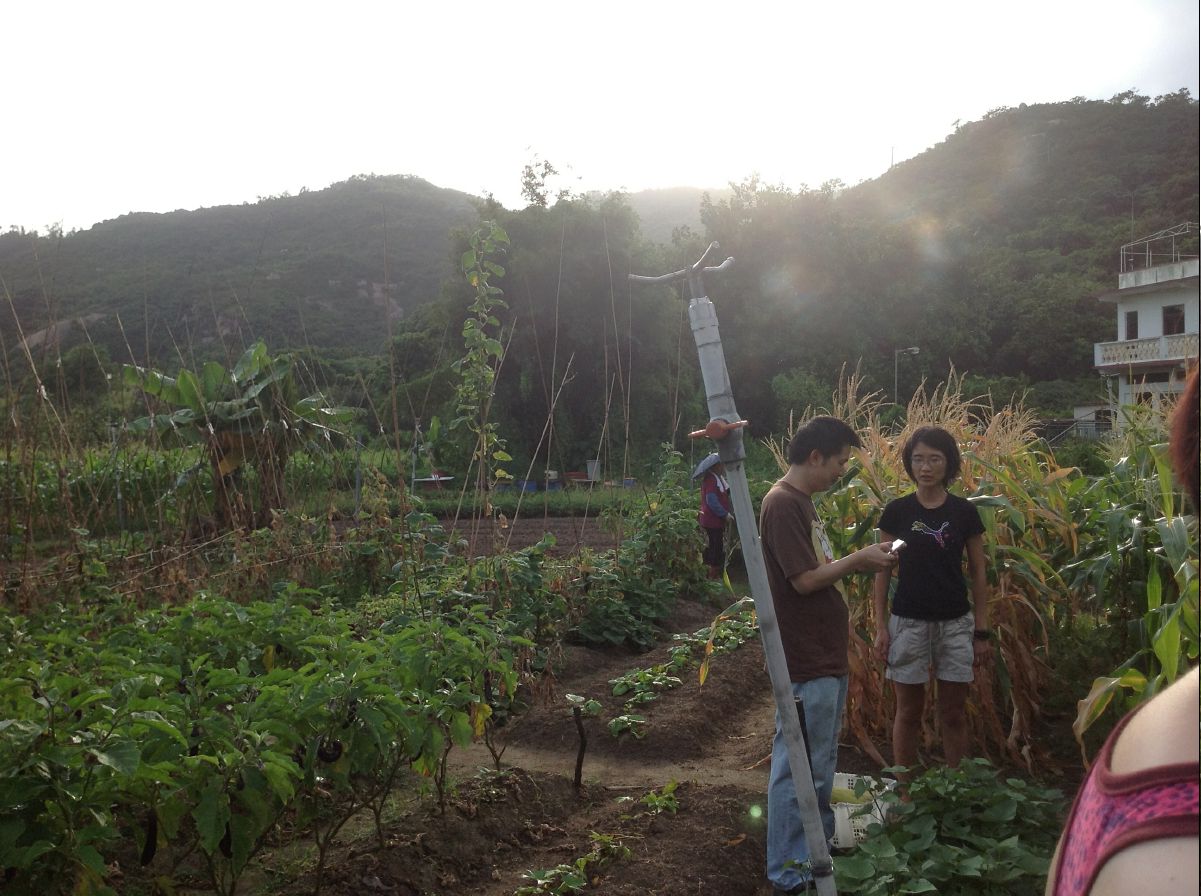 20100715Organic Farm35